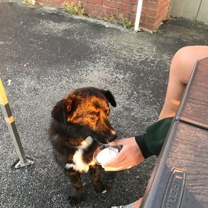 Meet your Posher, Ron